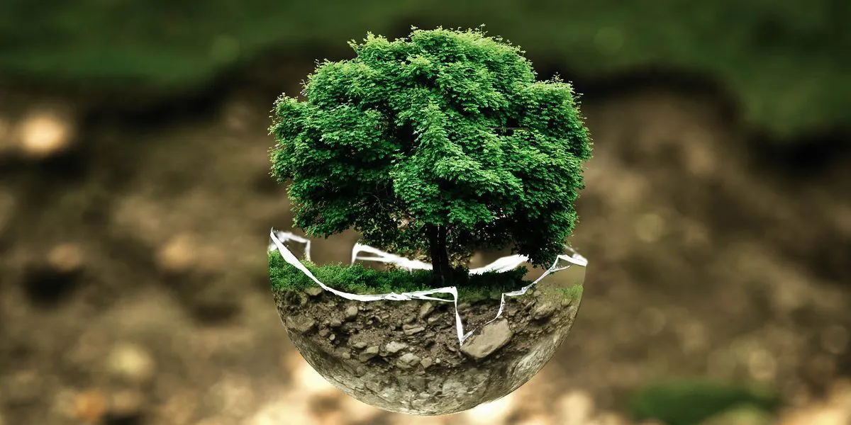 Subvenciones y cofinanciaciones